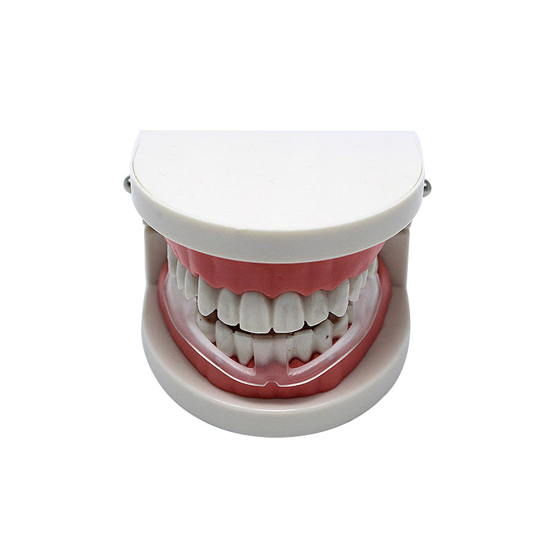 KHY06011—chil's anti molar mouth guard2