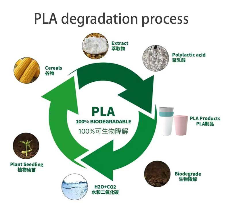 100% biodegradable PLA reusable mug cup without handle4