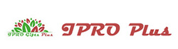 IPRO