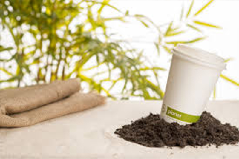 Global biodegradable tableware market share forecast