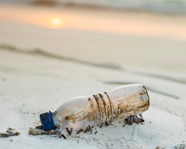 Under the plastic ban, an alternative solution to disposable plastic products