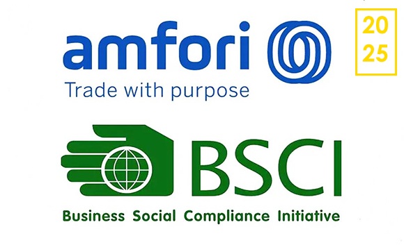 Audited BSCI 2025 KangHao