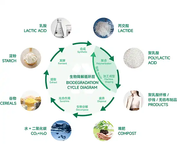PLA 聚乳酸从何而来？源自农田的环保新材料