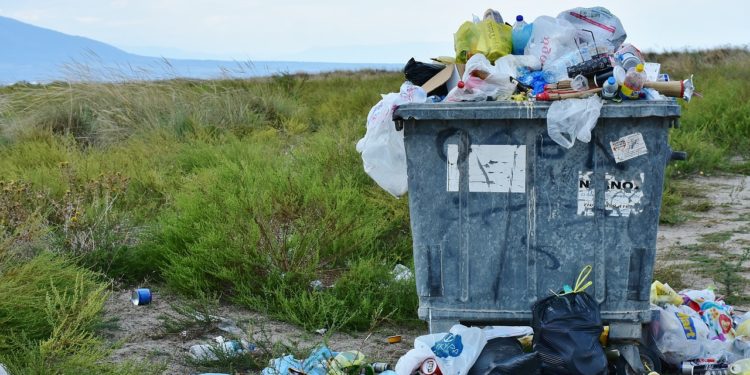 Ten reasons to ban the use of plastic bags immediately