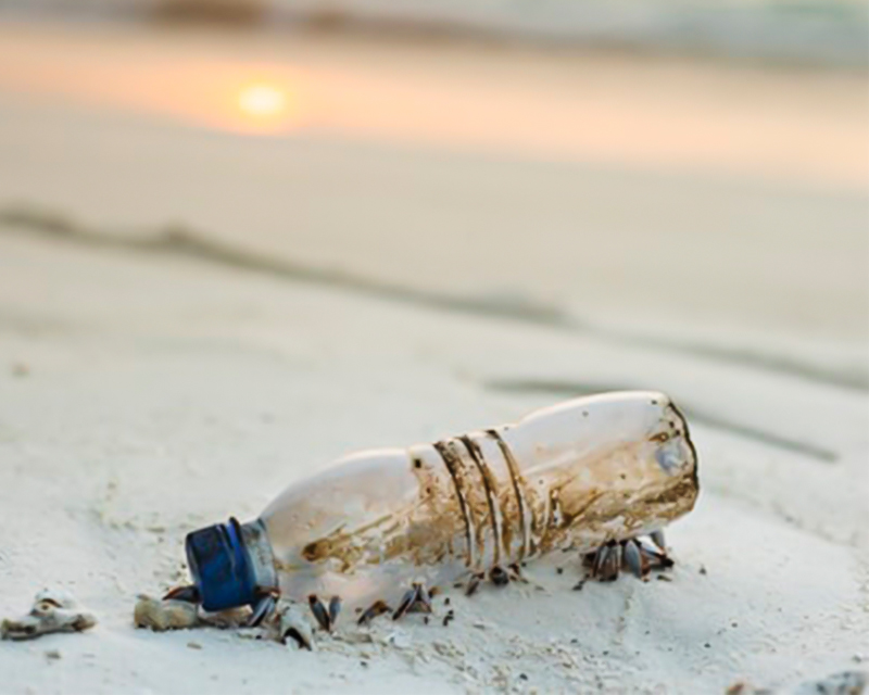 Under the plastic ban, an alternative solution to disposable plastic products